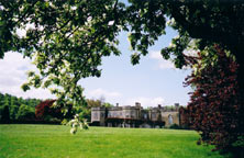 click for larger pic